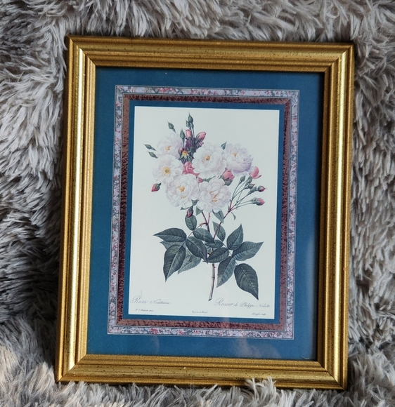 PJ Redoute Pinx Other - Vintage Rosier de Philippe Noisette Floral Print in Gold Frame
